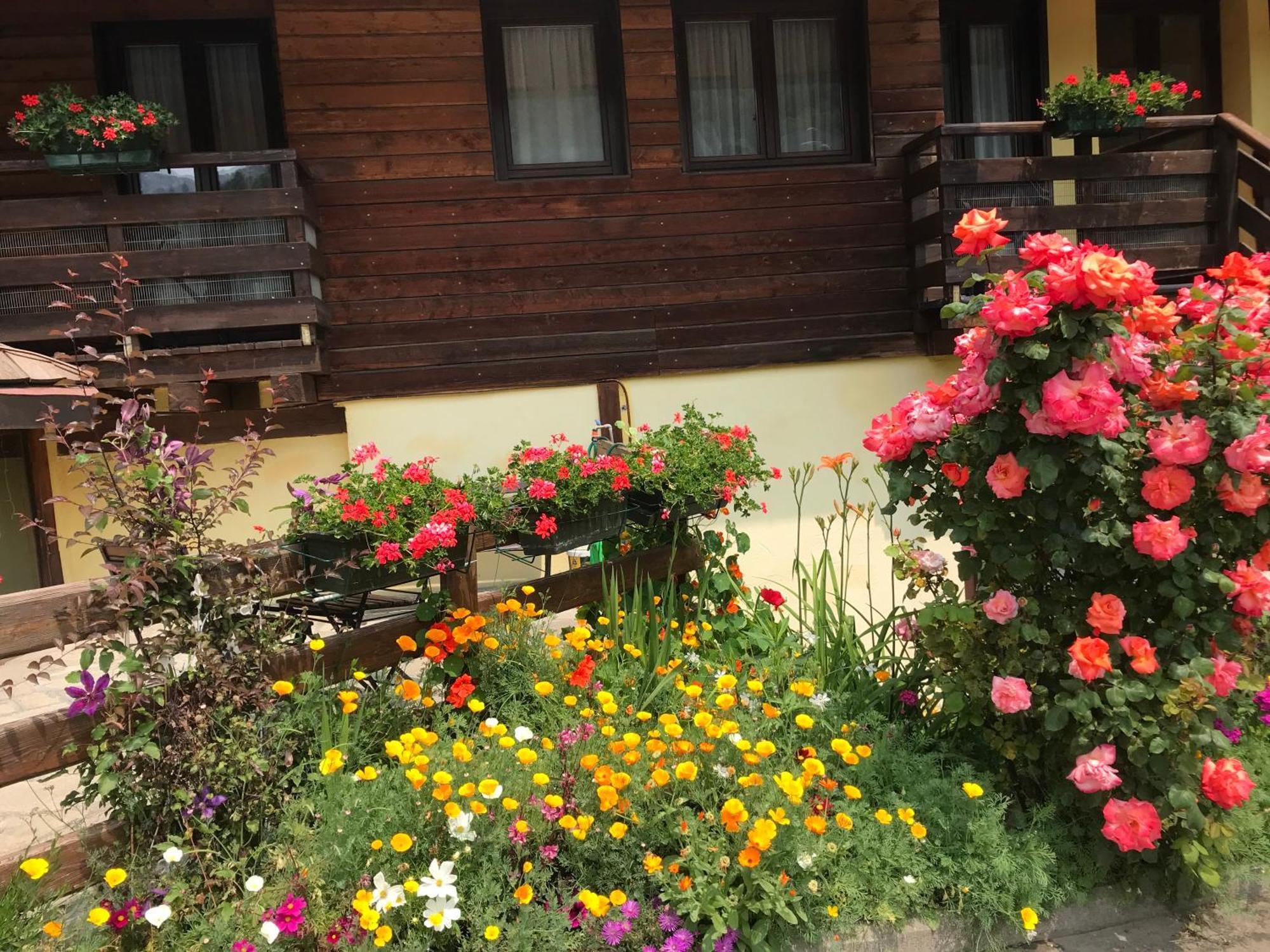 Hotel Ca Fiore Bardonecchia Eksteriør billede